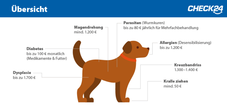 Hundekrankenversicherung TopSchutz im Krankheitsfall